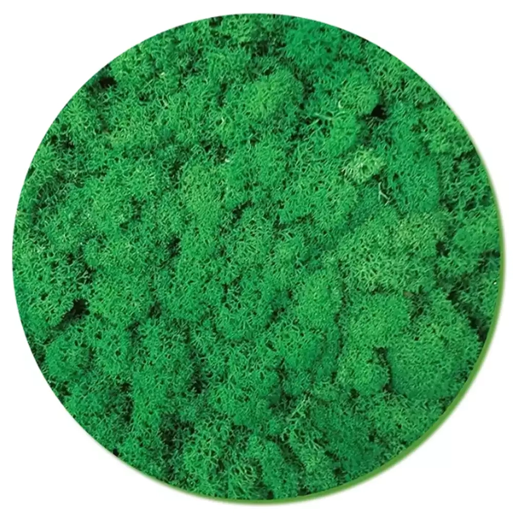 Moss Wall