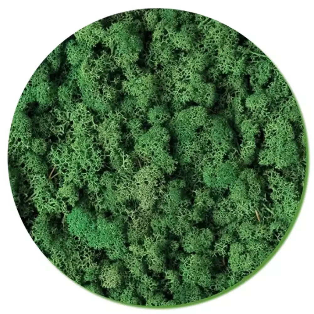 Moss Wall