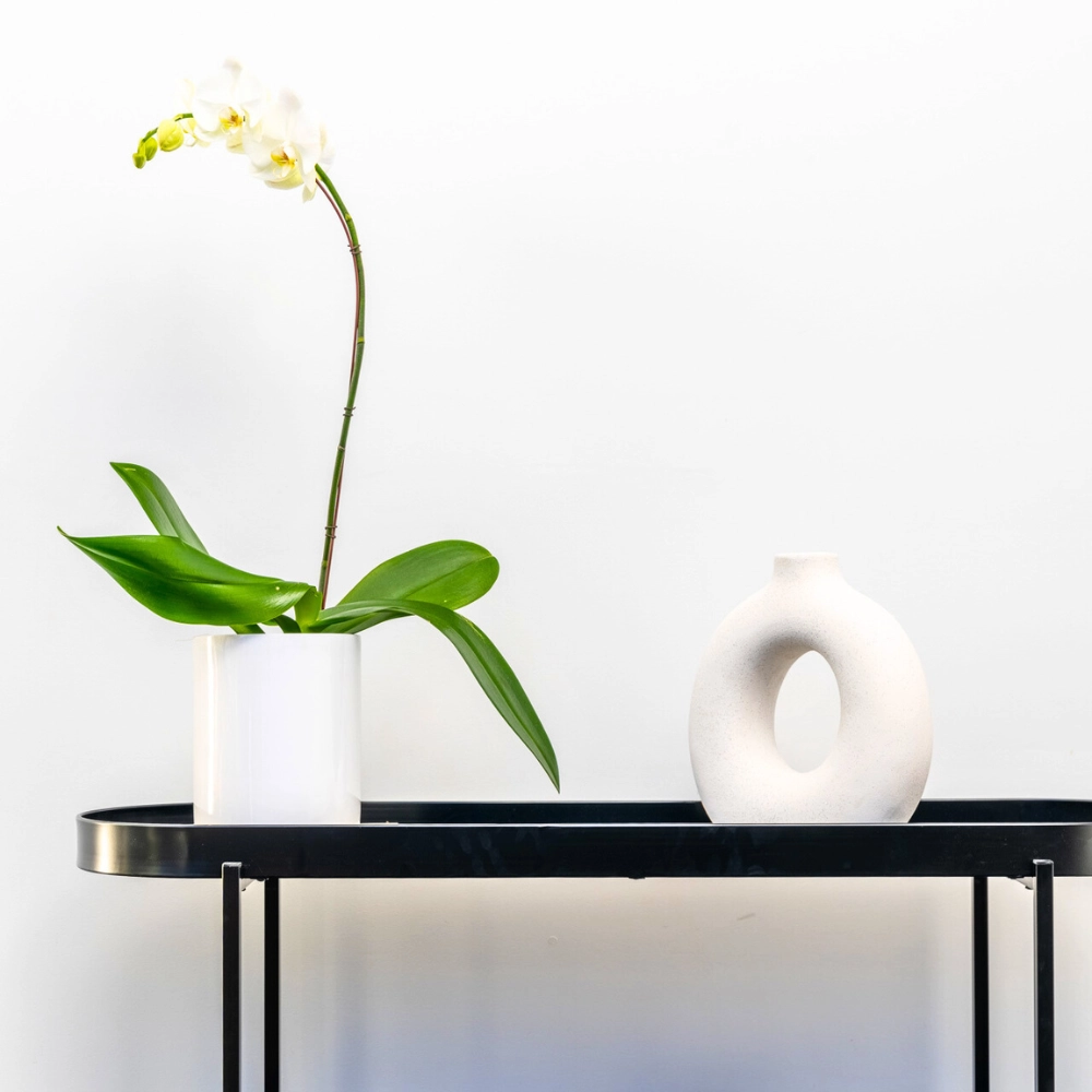 Wilston Desktop