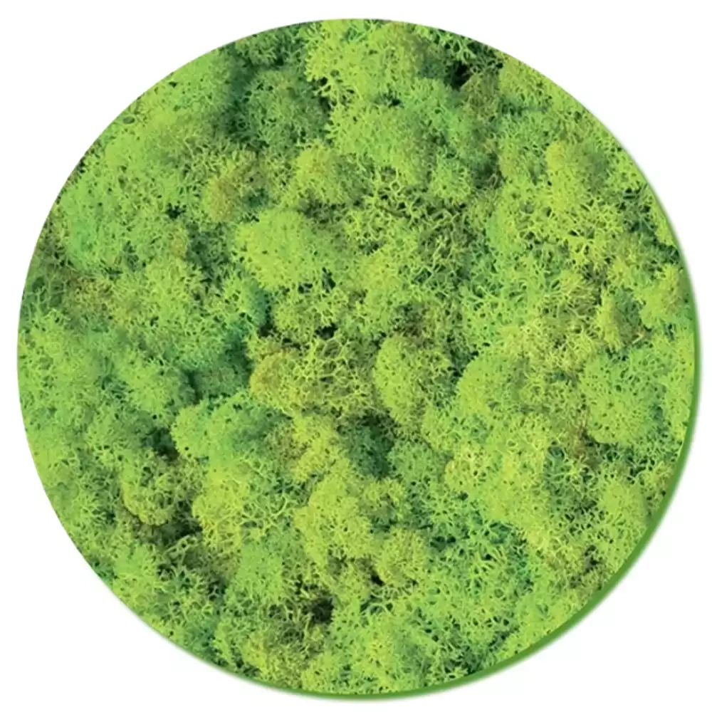Moss Wall