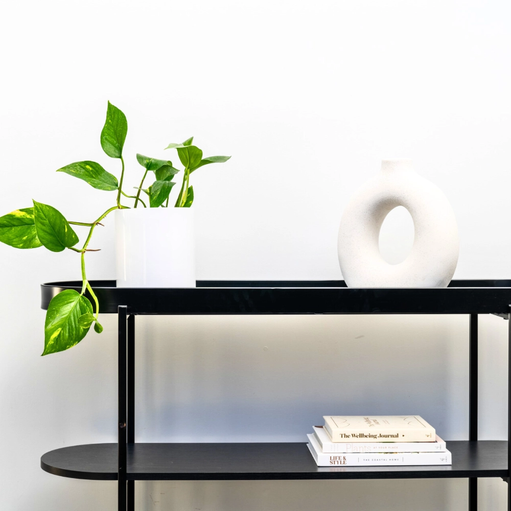 Wilston Desktop 