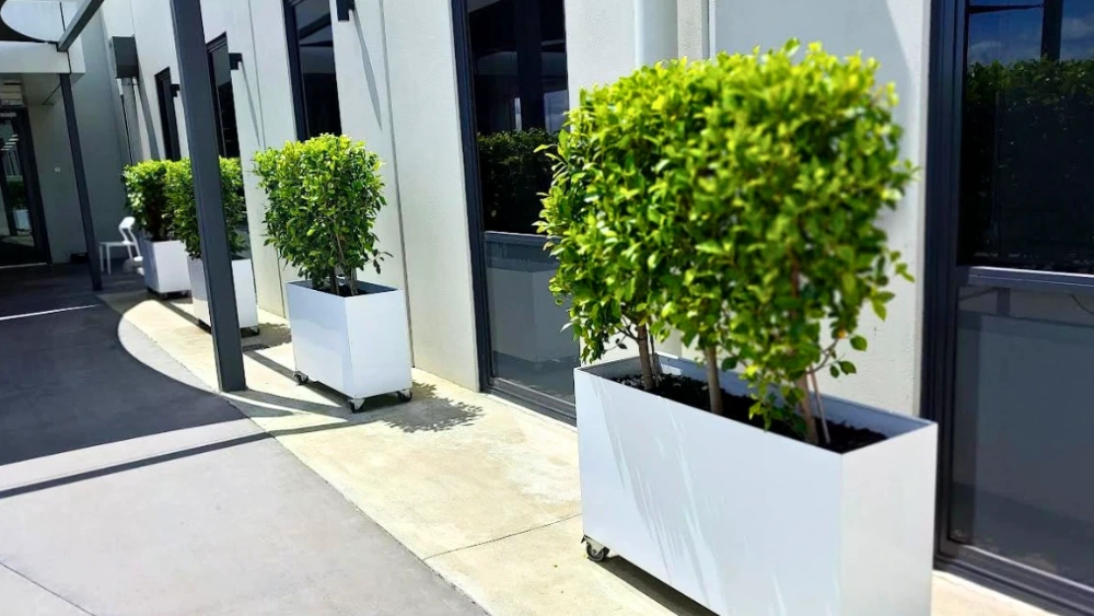 NZ-short-term-hire-carousel-1200x650-outdoor-troughs