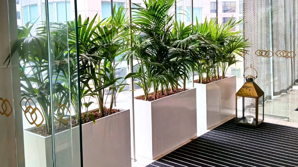 NZ-short-term-hire-carousel-1200x650-troughs