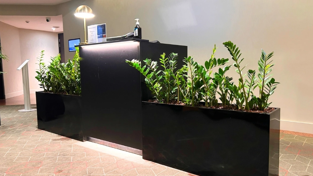 NZ-short-term-hire-carousel-1200x650-troughs-2