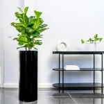 Ambius Cilindro Black
