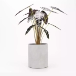 Wilston Desktop Concrete