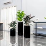 Ambius Cilindro Trio Black