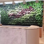 Built-in Green Wall