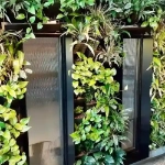 Built-in Green Wall