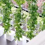Vertical Tower