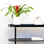Wilston Desktop