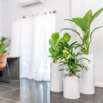 Ambius Cilindro Trio White