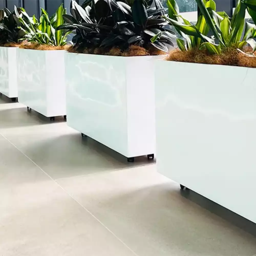 Ambius best practice sub-irrigation