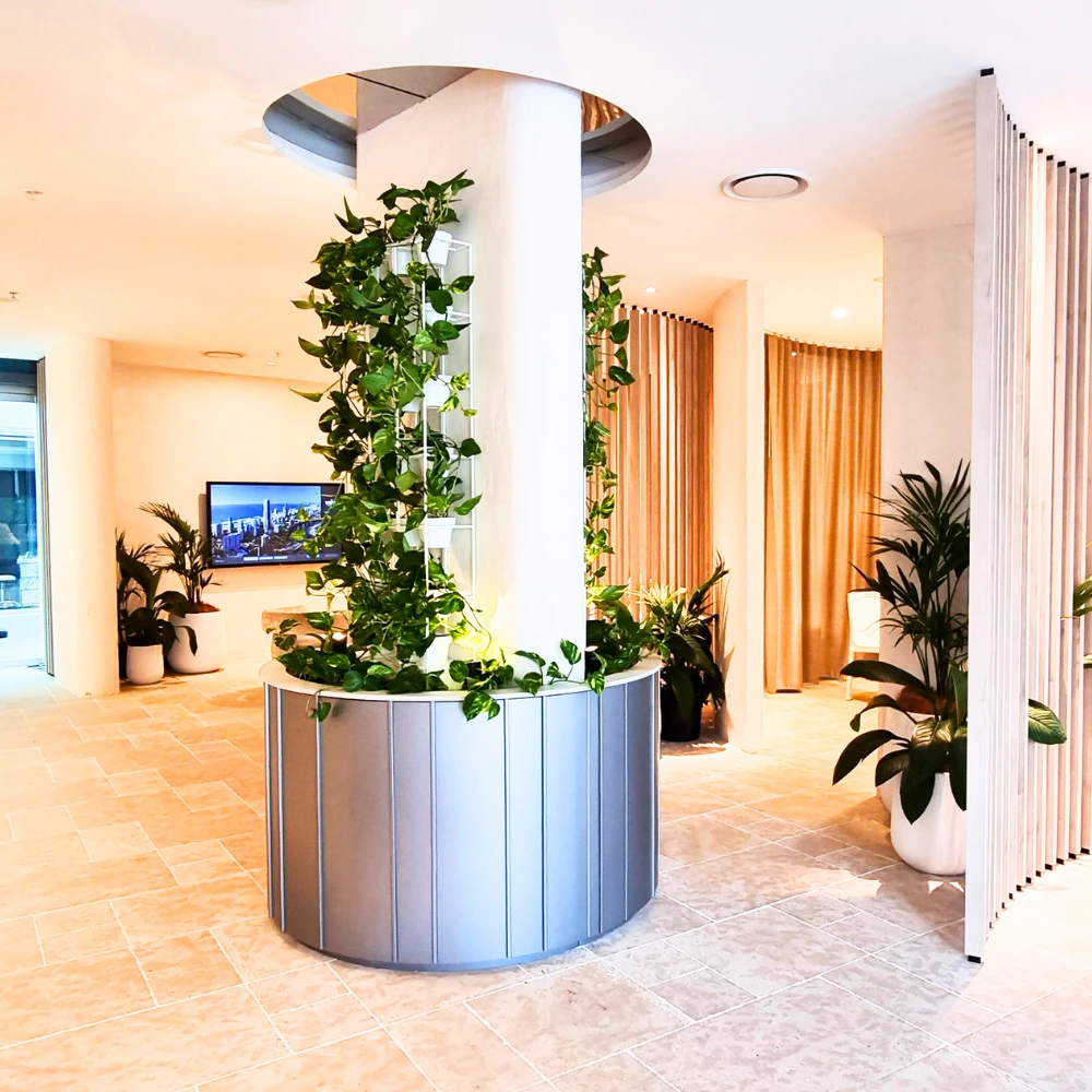 Enhance your office interiors with an indoor vertical garden | Ambius NZ