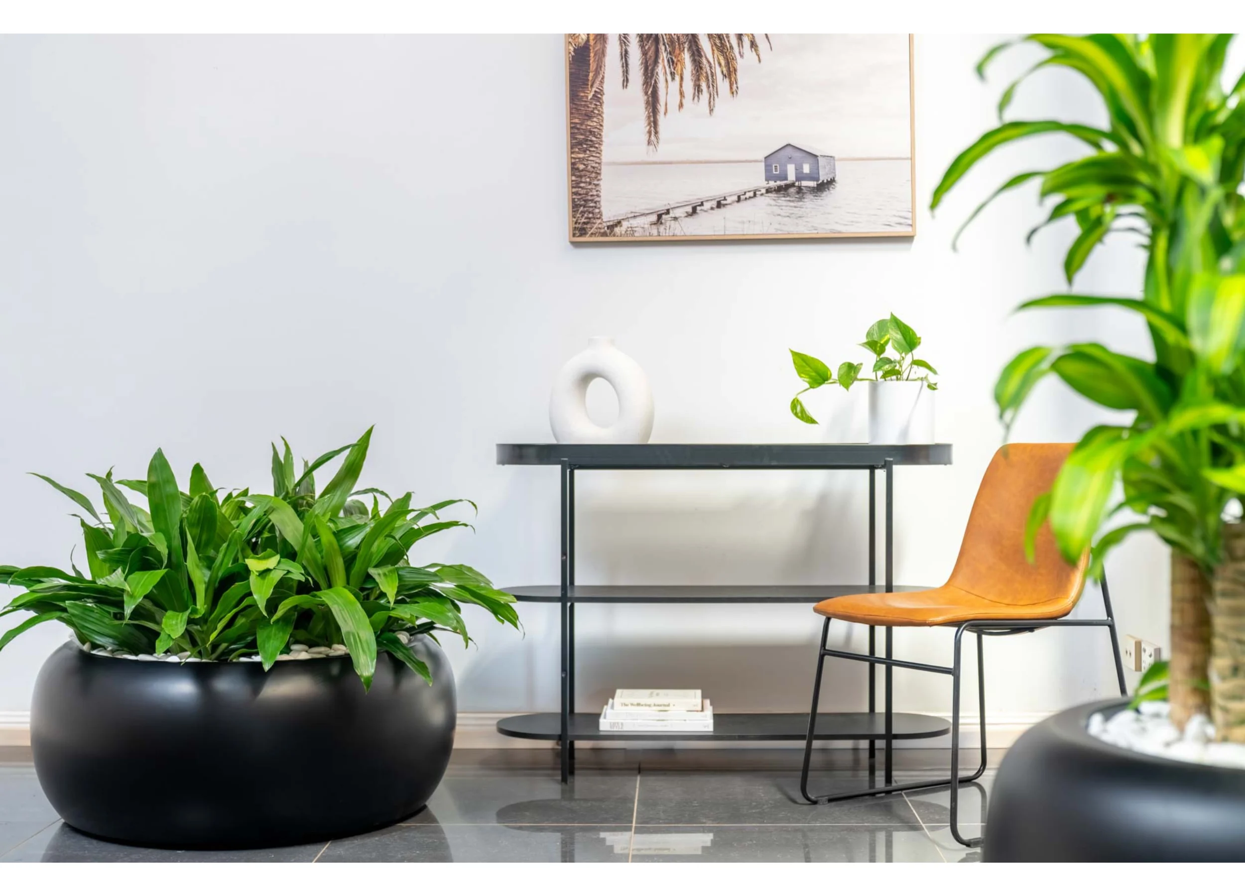 Ambius Multiplanters