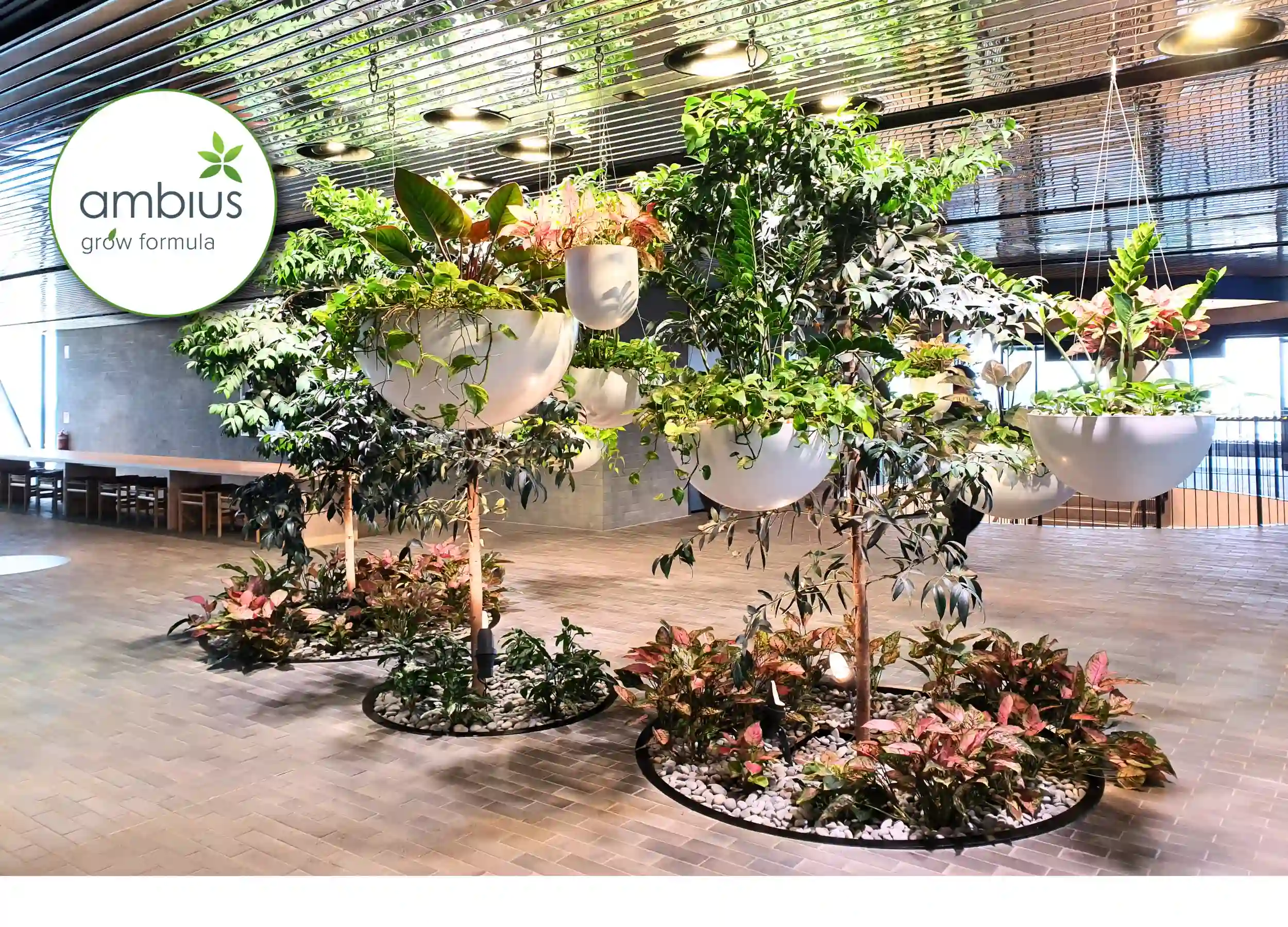 Ambius Rentokil The secret to healthy and thriving indoor plants: Ambius Grow Formula