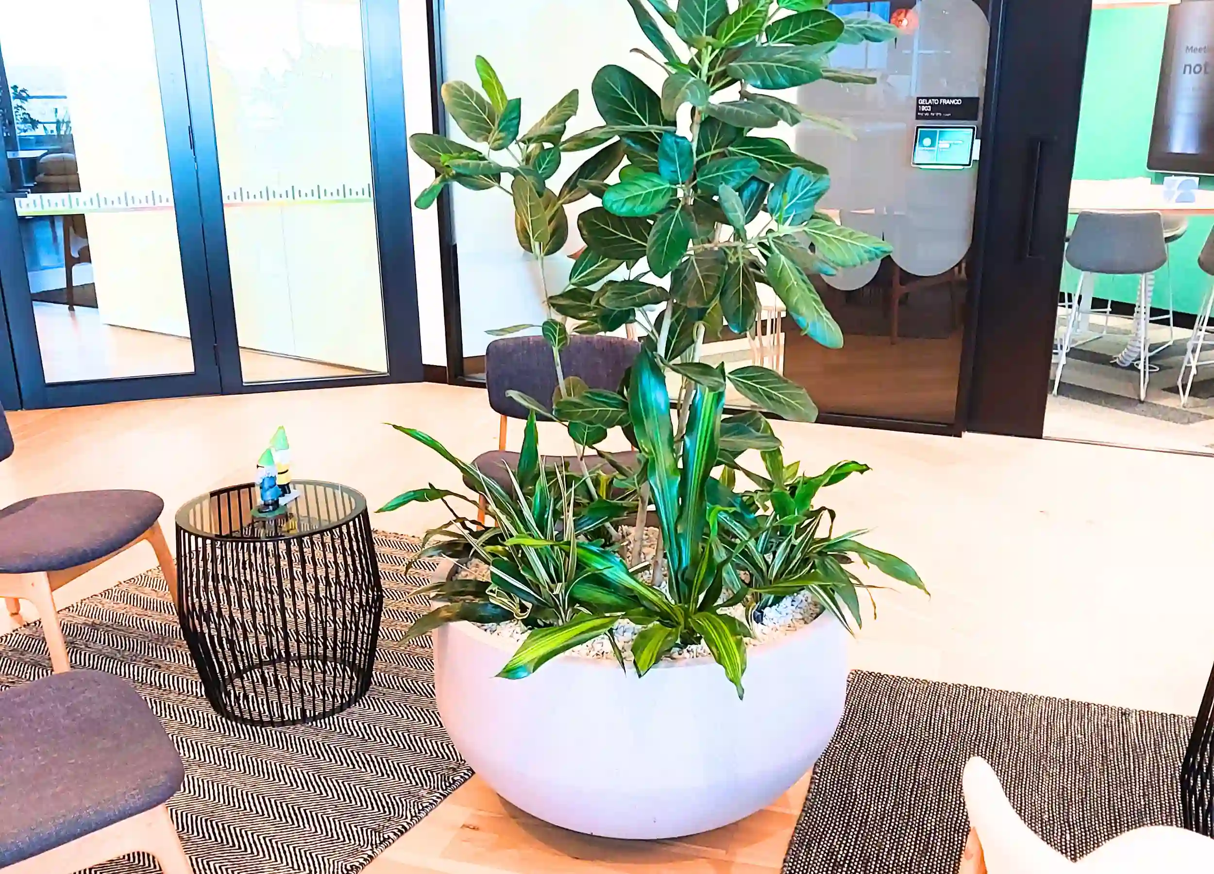 Ambius Rentokil Elevate Your Space with Ambius Multiplanting Solutions